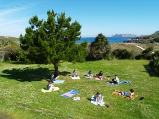 Disfrutando del sol